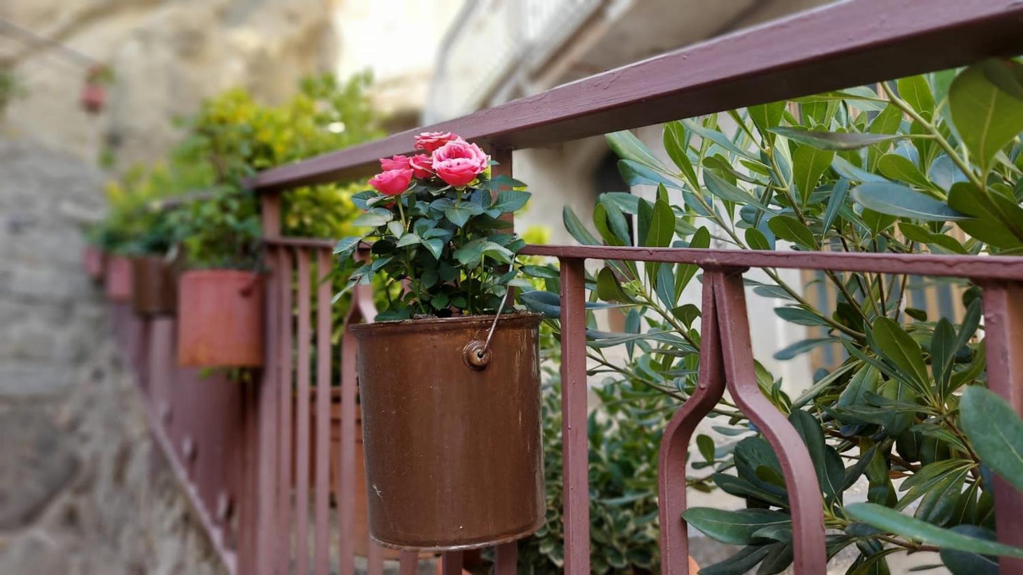 Bed and Breakfast La Casa Del Tempo Cerami Екстер'єр фото